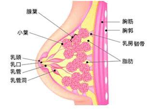 乳腺癌患者会有哪些症状