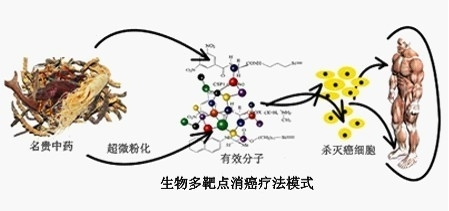 中医中药 癌症新疗法—治疗癌症的最新方法 典型霍奇金淋巴瘤药物ADCETRIS获突破性治疗的称号