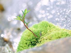 预防黑色素瘤要注意指甲上的黑线