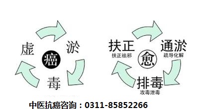 中医抗癌扶正排毒免疫疗法 常识：“13年前，我如日中天... 直到医生跟我说，我的一个蛋得了睾丸癌...”