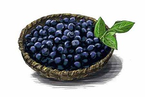 人们多吃蔬菜预防食管癌 “莓”类水果有帮助
