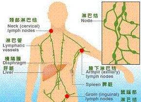 非霍奇金淋巴瘤病因是怎么引起的？