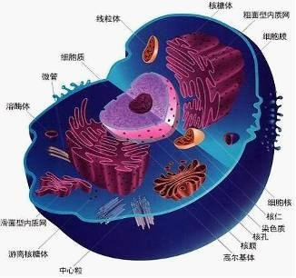 生物多靶点消癌疗法 “趁热吃” 的习惯，正在把中国人推向癌症的深渊，你还不知道这也是食道癌的病因吧？